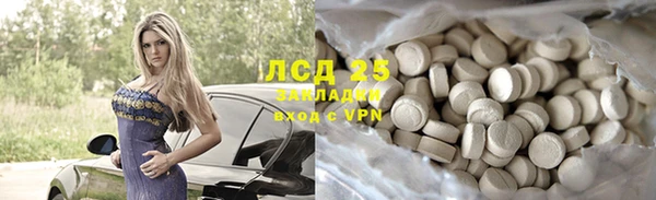 ECSTASY Алзамай