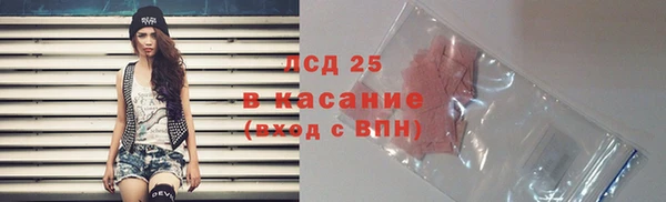 ECSTASY Алзамай