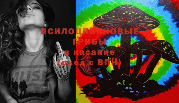 ГАЛЛЮЦИНОГЕННЫЕ ГРИБЫ Алексеевка