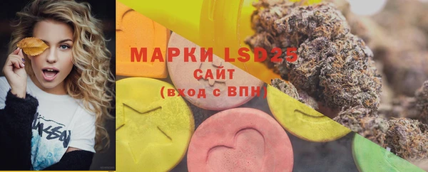 ECSTASY Алзамай